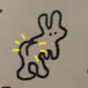 Meet your Posher, Never